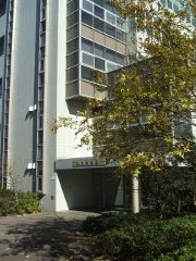 イメージ写真を出す