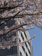 イメージ写真を出す